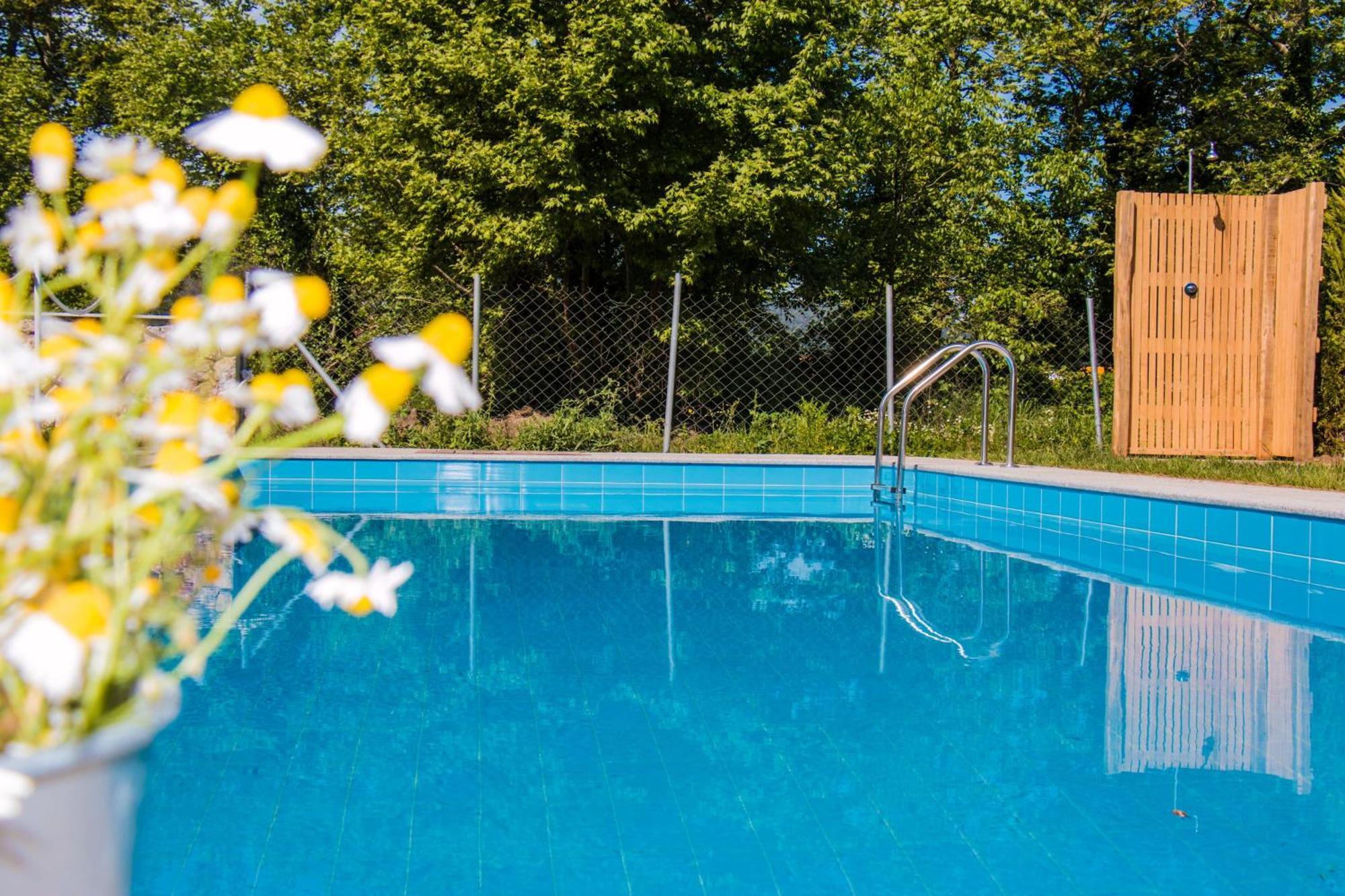 Aristotelia Gi Ikies - Olympiada Poolside Retreats 외부 사진