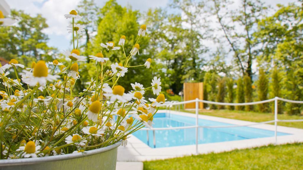 Aristotelia Gi Ikies - Olympiada Poolside Retreats 외부 사진